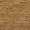 Grandis Oak